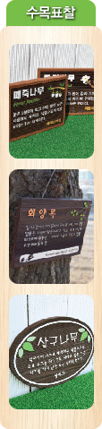수목표찰